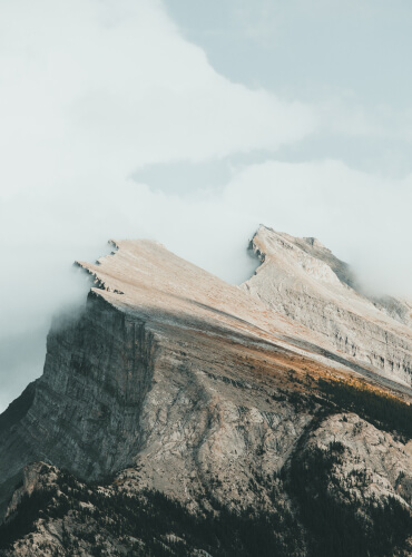 Services Service 3 1